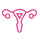Femme 365 Complete Hormonal support icon