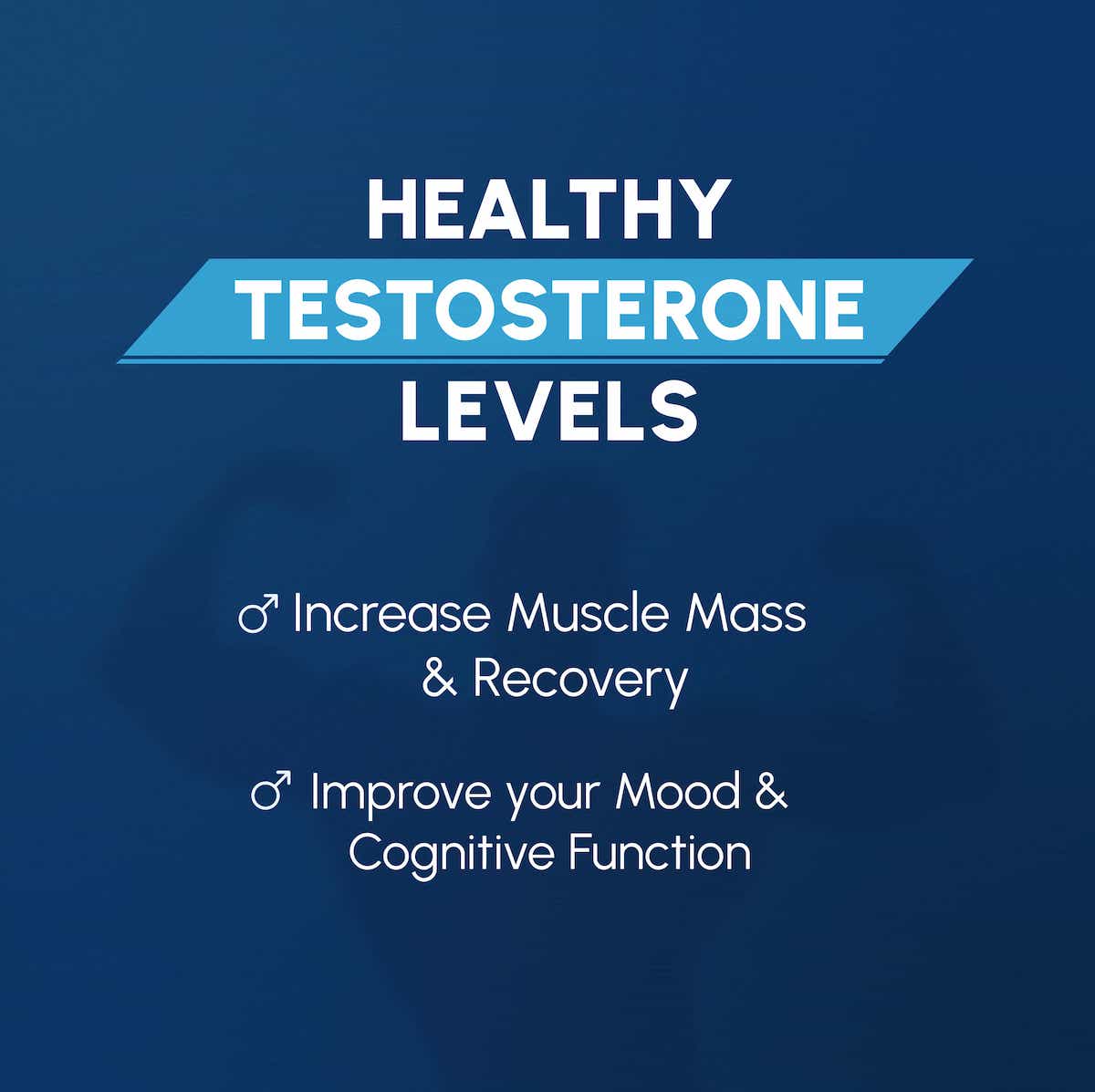 V Max Men's Formula