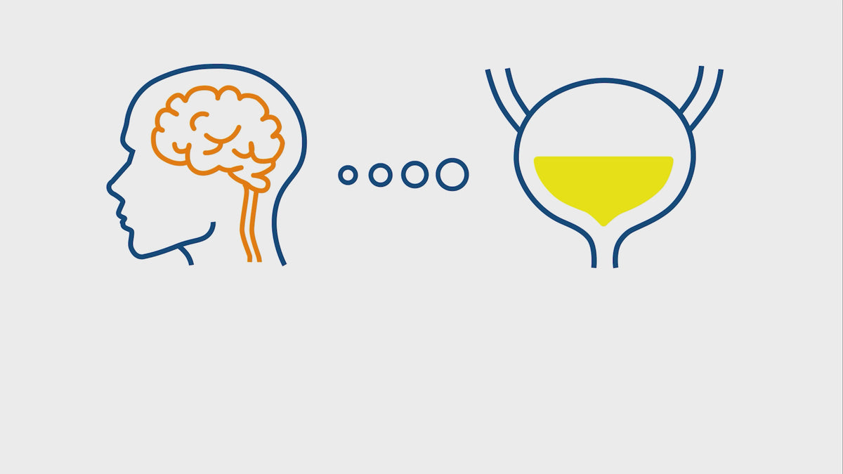 Urox® promotes a proper brain-bladder nerve response video
